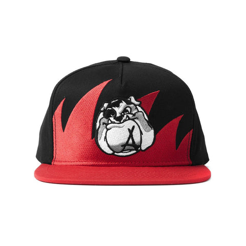 Waves Snapback